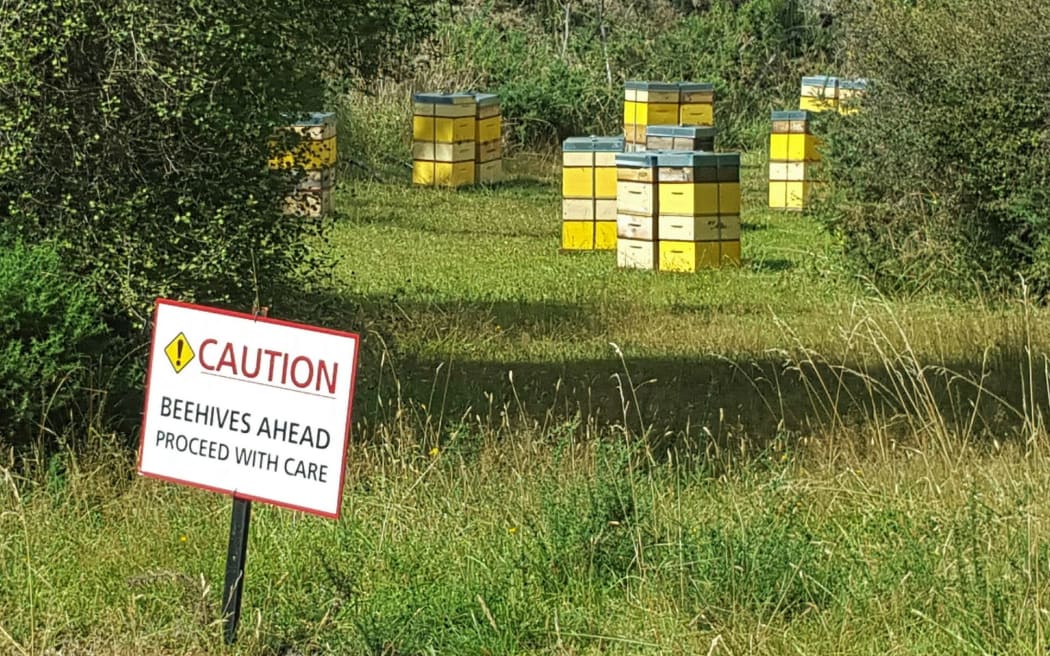 Nelson beehives