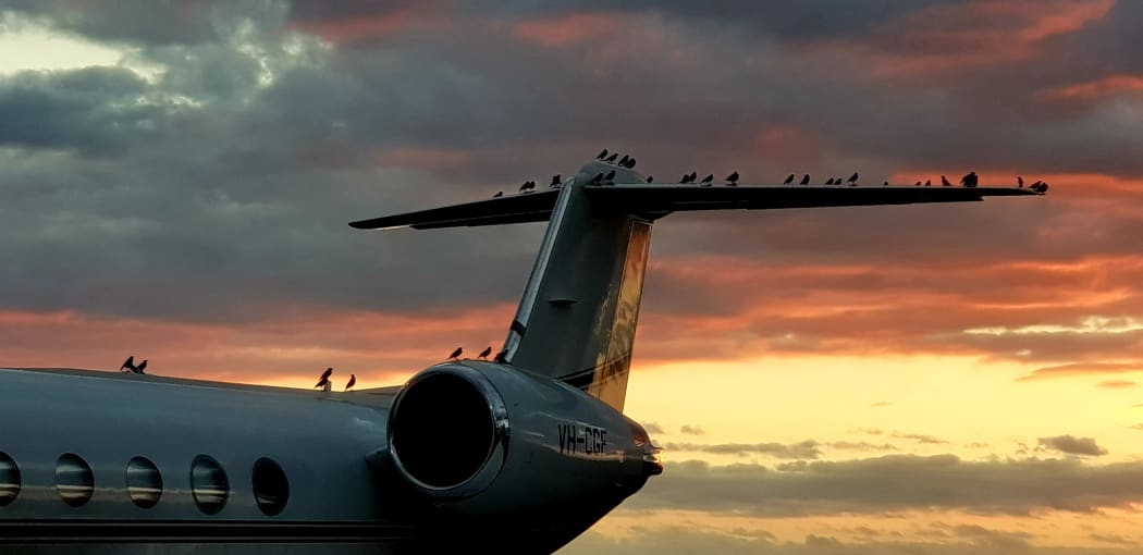 Grounded planes in Fiji where the aviation sector is suffering with more than 41,000 tourism job losses
