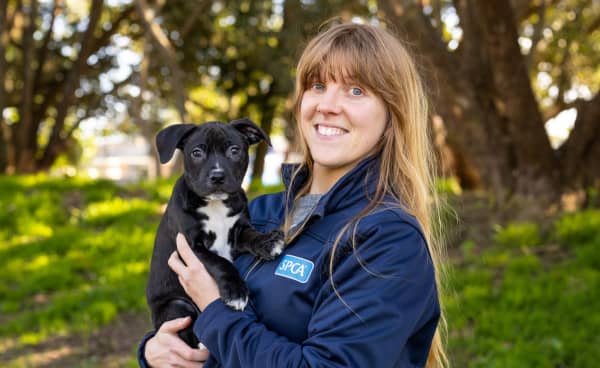 SPCA scientific officer Dr Alison Vaughan holding a puppy.