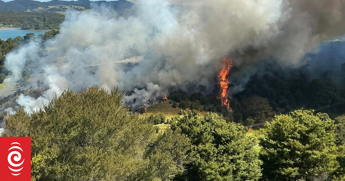 FENZ says people ignoring fire season safety warnings, warns against complacency