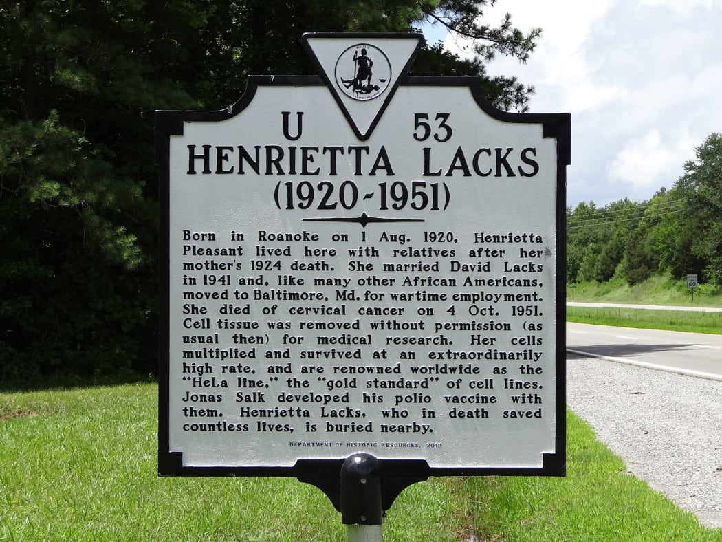 A sign in Roanoke, USA, describing Henrietta Lacks' contribution to science.