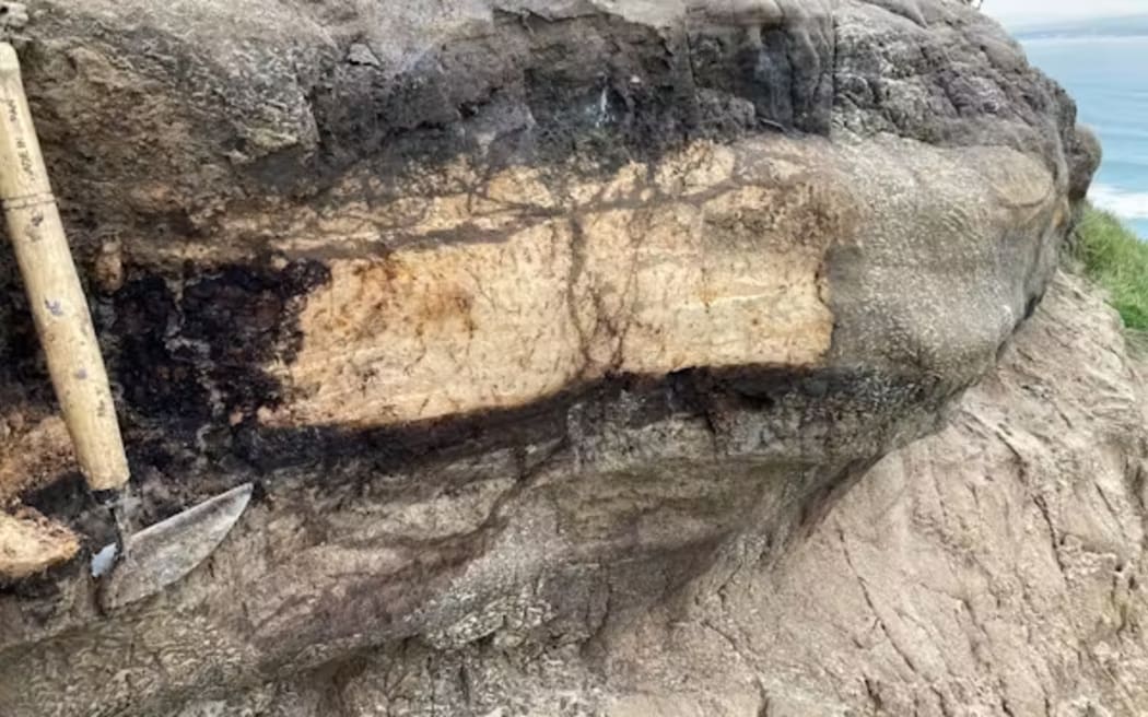 A ‘supereruption’ transformed NZ 350,000 years ago. We now know how it ...