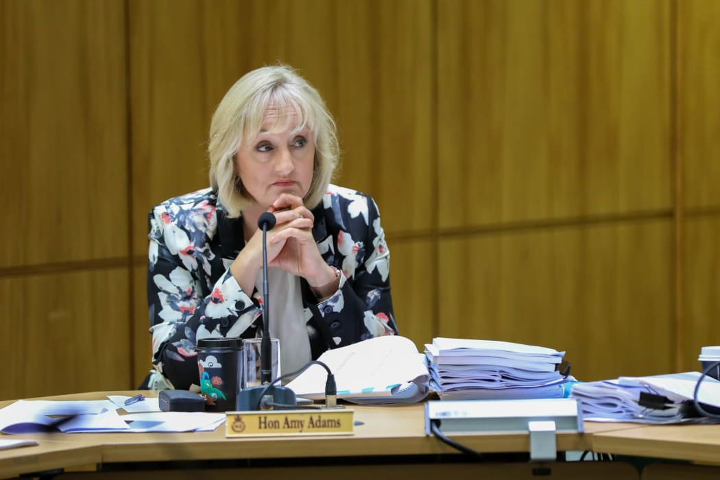 National Party MP Amy Adams in Select Committee