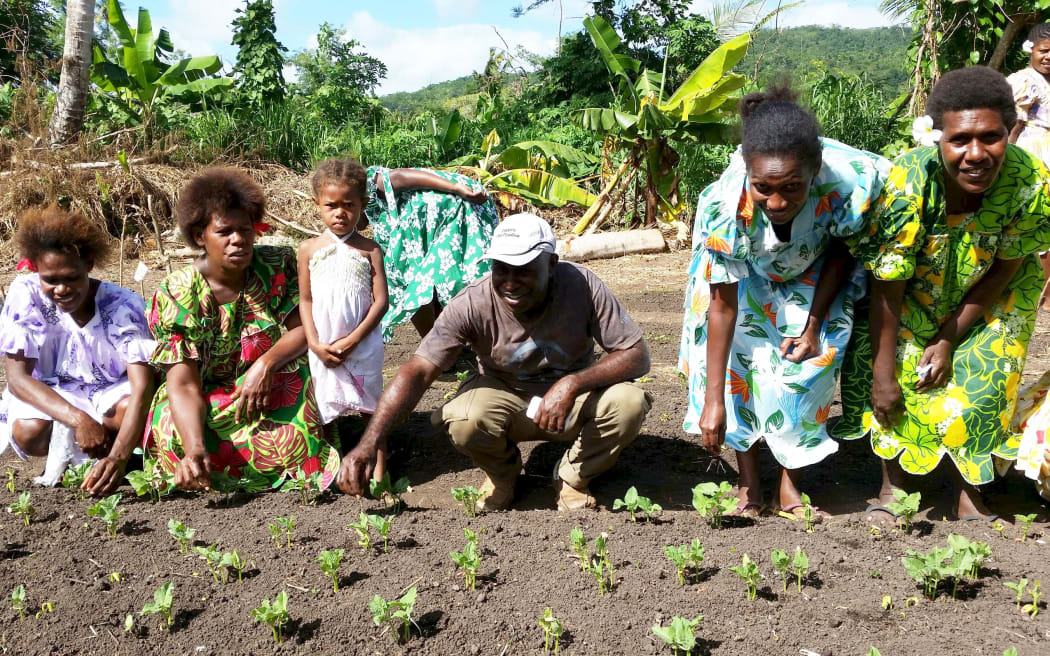 UNDP supported programme in Vanuatu to share farming techniques to improve resilience to climate change. Aug 2015.
