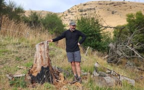 Port Hills resident and senior University of Canterbury Environment lecturer Matiu Prebble stands next to a scorched stump from the 2017 fires, about 100 meters from his home.
