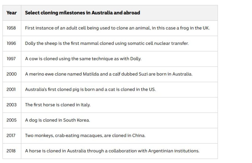 Cloning  in Australia
