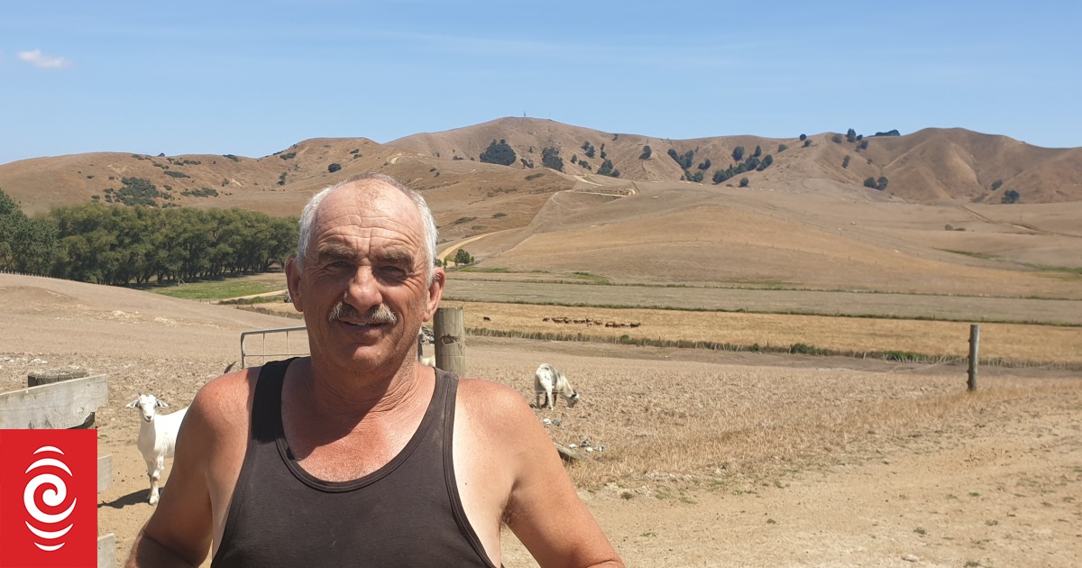 Farmers in Waikato hope for rain as extreme dry takes hold | RNZ News