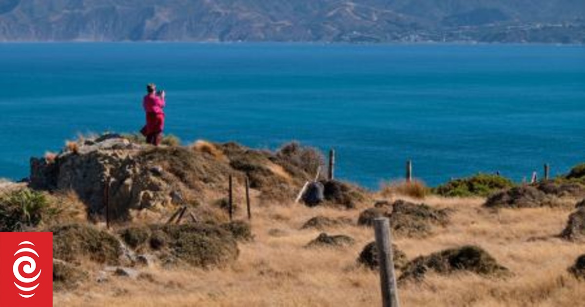 Extreme fire danger shuts Baring Head and Parangarahu Lakes - Vimarsana News