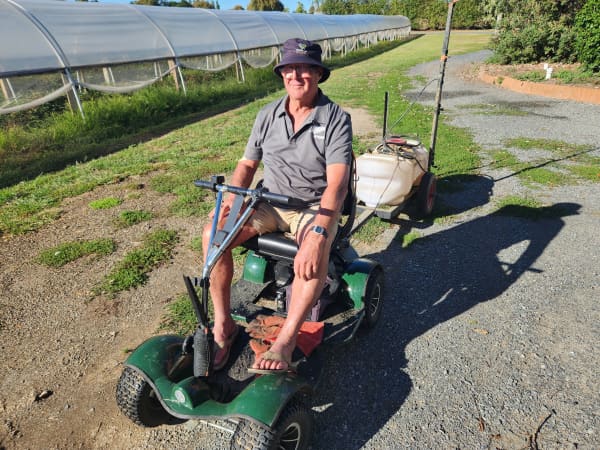 A golf cart has been adapted to hook up a trailer and old car battery for spraying