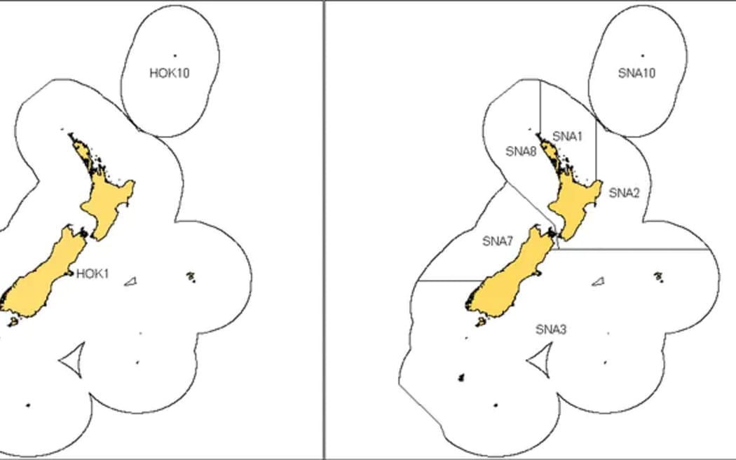 Image showing hoki and snapper quota management areas - to go with and article from The Conversation.