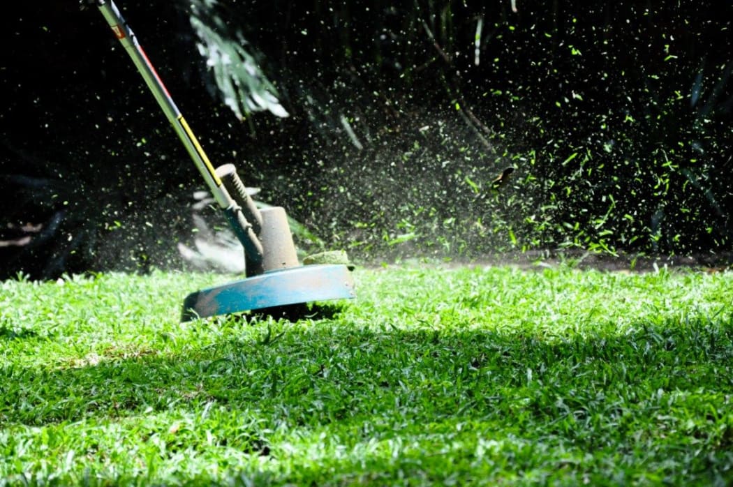 line trimmer