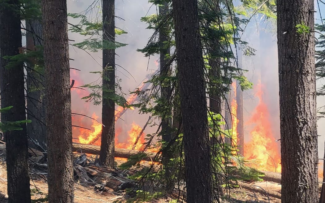 This handout image courtesy of Yosemite National Park Service shows flames from the Washburn fire burning near the lower portion of the Mariposa Grove in Yosemite National Park, July 7, 2022. (Photo by NATIONAL PARK SERVICE / AFP) / RESTRICTED TO EDITORIAL USE - MANDATORY CREDIT "AFP PHOTO / HANDOUT / National Park Service " - NO MARKETING - NO ADVERTISING CAMPAIGNS - DISTRIBUTED AS A SERVICE TO CLIENTS