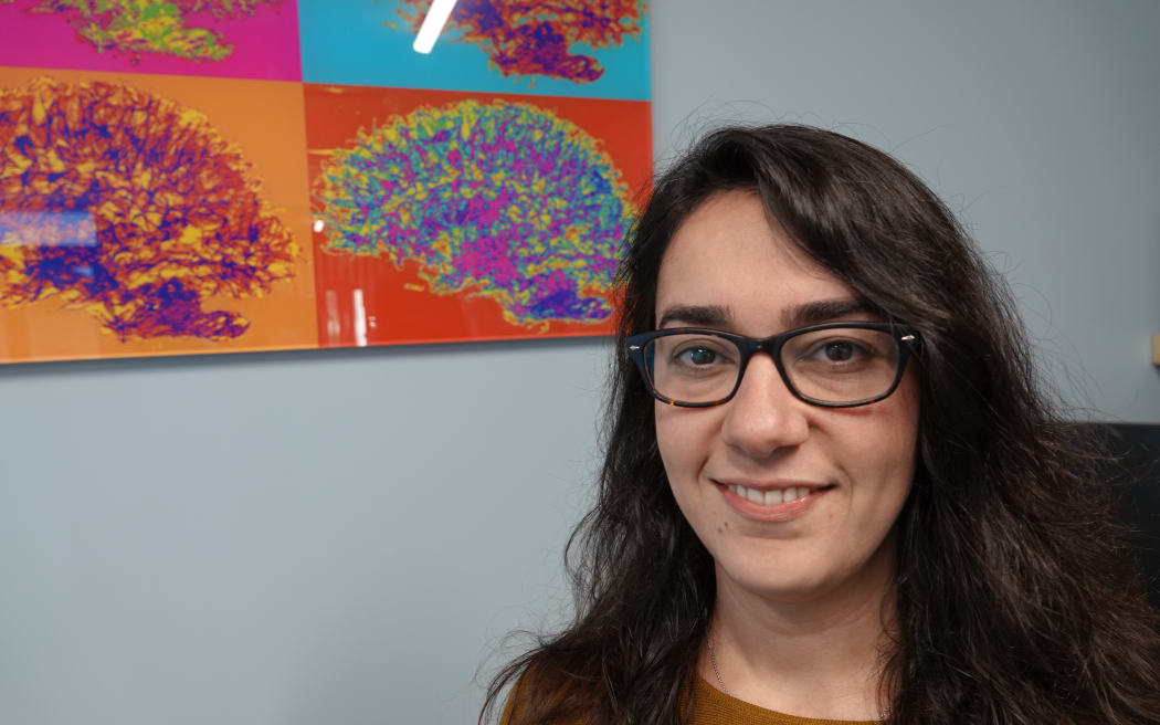 Mātai research fellow Maryam Tayebi says it's hoped a larger study can happen in the future.