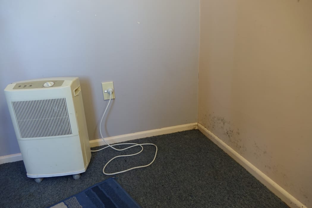 Rose says she's been forced to live in a Dunedin home that's mouldy because there's nowhere else to go.