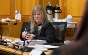 National Party MP Penny Simmonds in select committee.