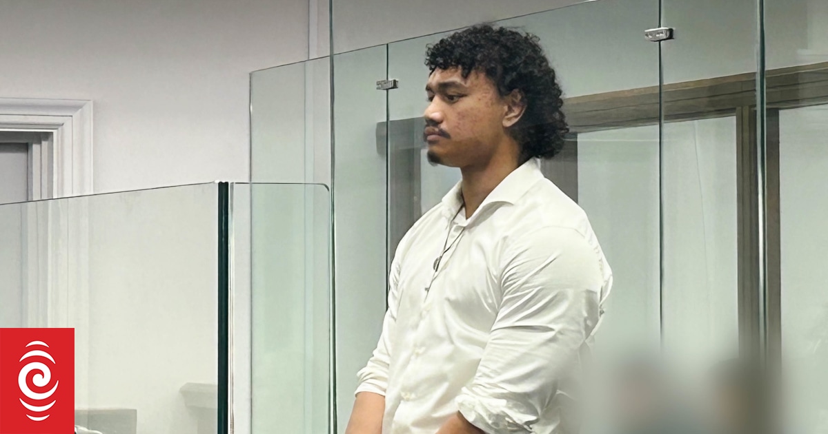 Man pleads guilty to manslaughter, other charges, after hit and run near Te Papa - Vimarsana News