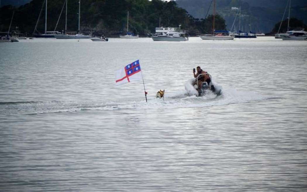 Bosco - known famously in Paihia as the ‘surfer dog’ - has made an appearance at Waitangi in the Bay of Islands.
