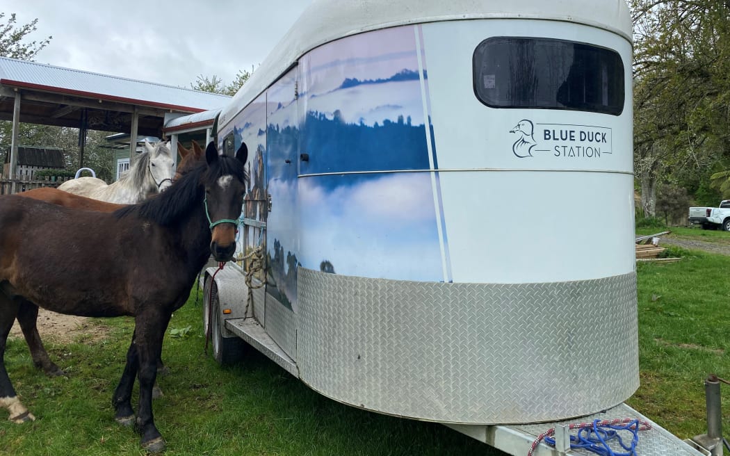 Horse treks are a popular attraction at Blue Duck.