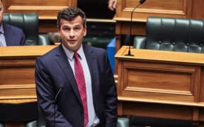 The first reading of the Treaty Principles Bill in Parliament on 14 November 2024. Pictured: David Seymour