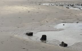 Spring swells have uncovered a ship in Taranaki.
