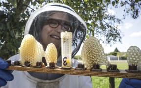 Penny Kerr-Hislop from Southern Sun Queen Bees.