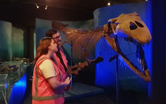 Some of the creatures on display at Otago Museum's Sea Monster exhibition would have once been spotted in the waters off the coast of New Zealand.