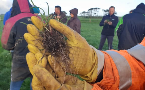 Regenerative agriculture proponents say soil biology has been overlooked in modern farming practices.