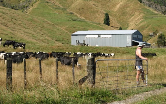 King Country farmland