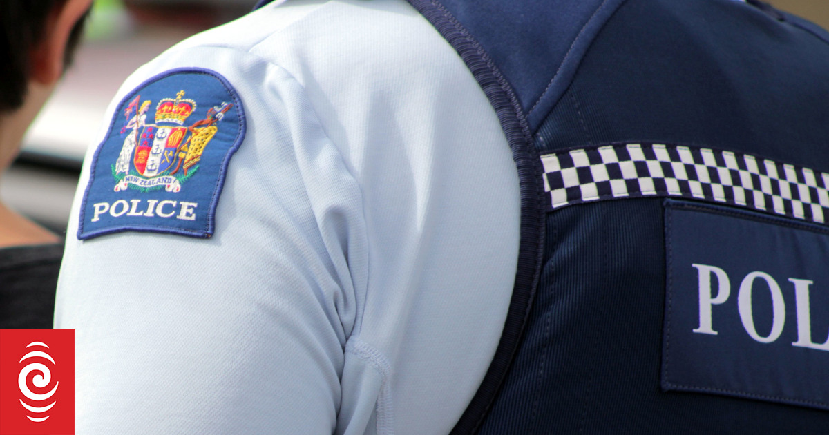 Teen stole car from hospital car park, sped down wrong side of SH1, police say - Vimarsana News