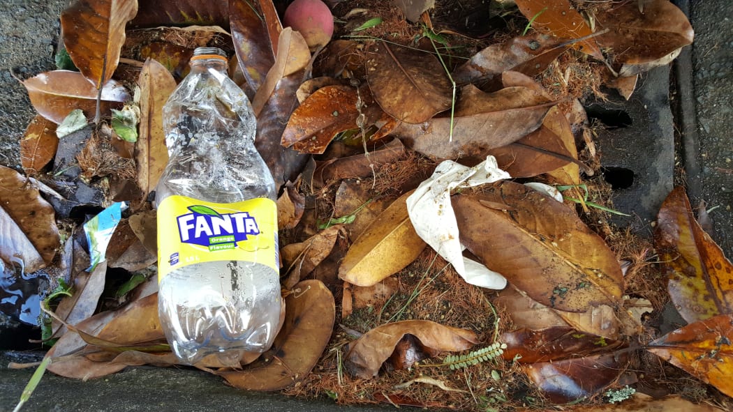 Plastic rubbish in the gutter of a Hamilton Street. From here it will wash into the nearby stormwater drain which leads directly to a local stream.