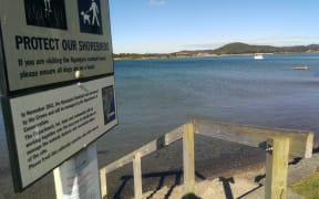 Ngunguru estuary