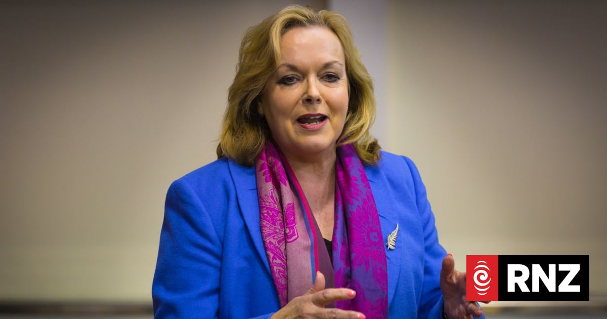 Collins backed over NZ First deal claim | RNZ
