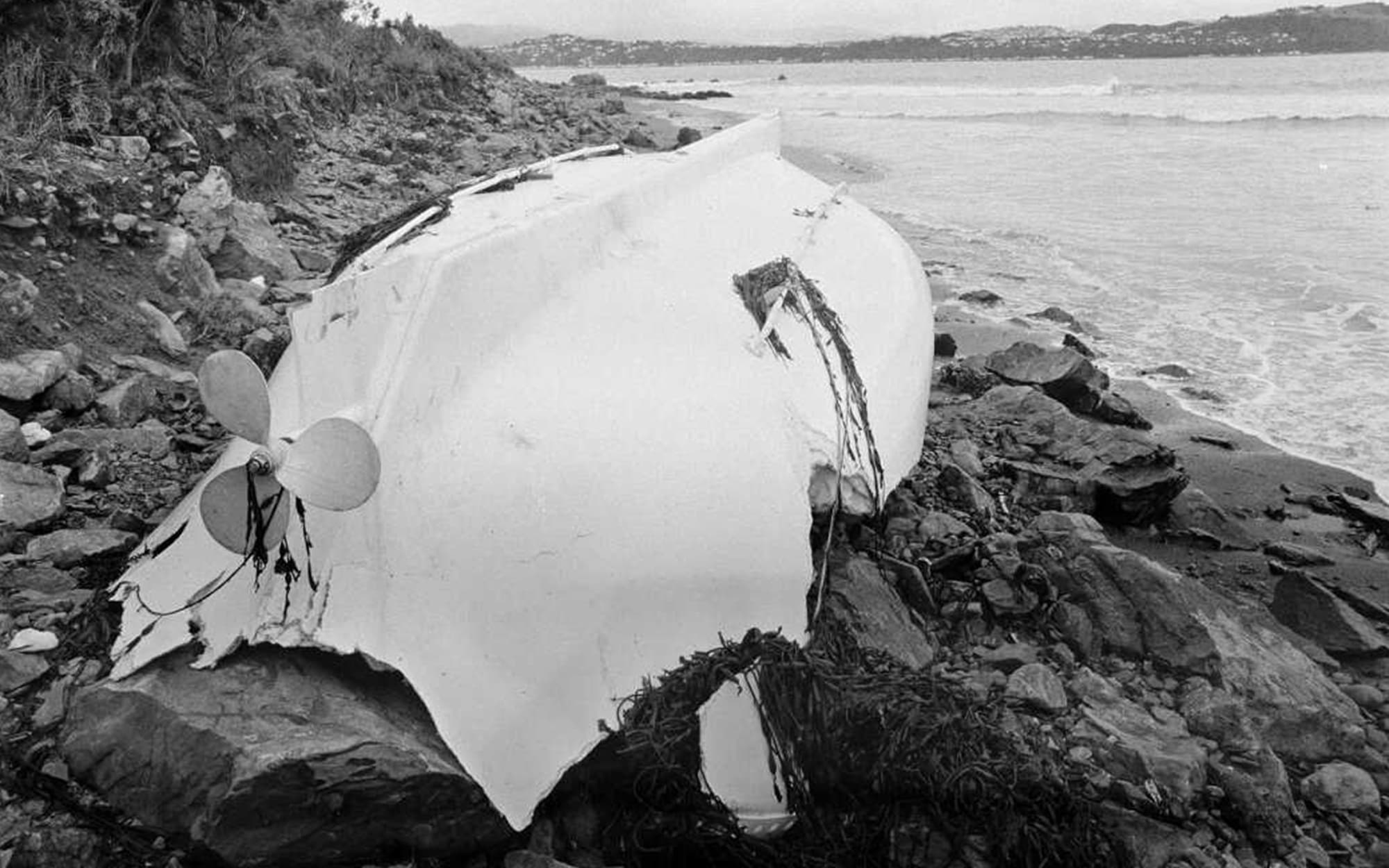 Beached lifeboat from the Wahine, Eastbourne, taken 11 April 1968 by an unidentified Evening Post staff photographer. Shows the lifeboat lying upside-down, with pieces of seaweed on and around it.