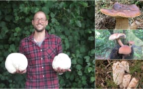 Christian Boedeker with two giant puffball mushrooms he foraged, and a porcini (top), a tree swordbelt (middle), and a shaggy inkcap (bottom).