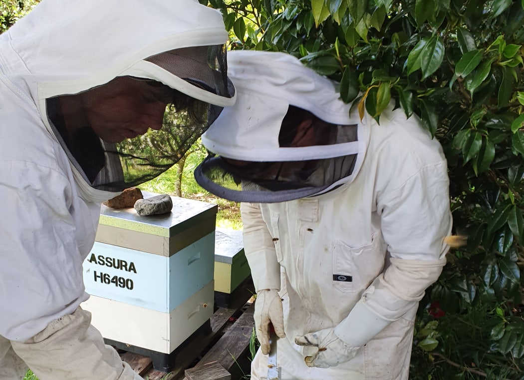 Jack Eschenbach (R) and friend George Hargood tend the hives