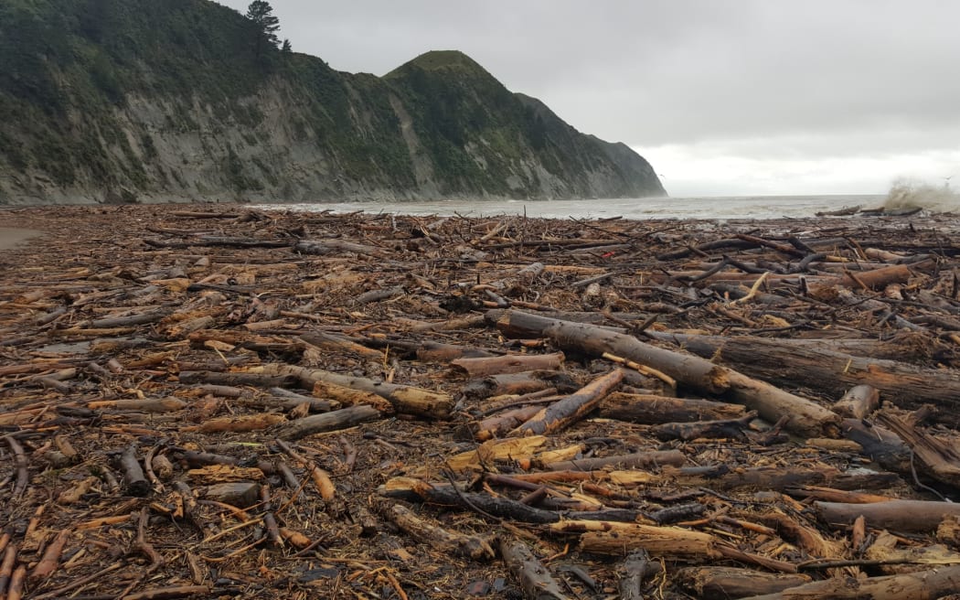 Ernslaw One's forestry certification suspended over Tolaga Bay storm damage RNZ News