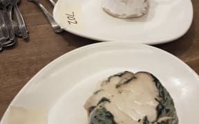 The Vegan Society is holding its second national vegan cheese awards in Auckland on 22 July 2022.