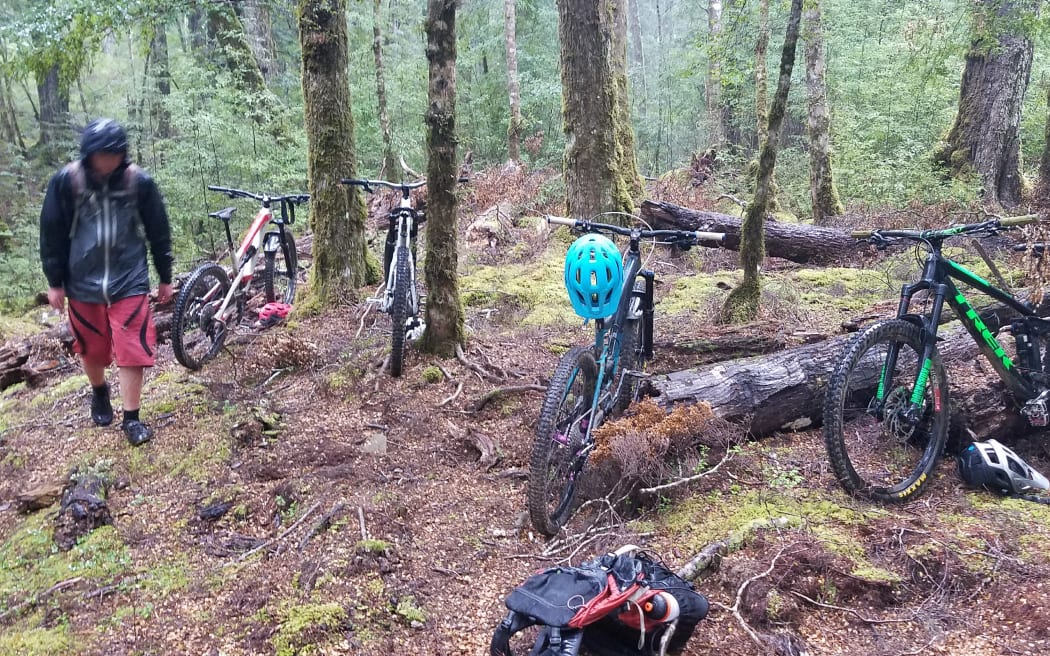 An area in Snowdon Forest where Te Anau Cycling hoped to build a trail.