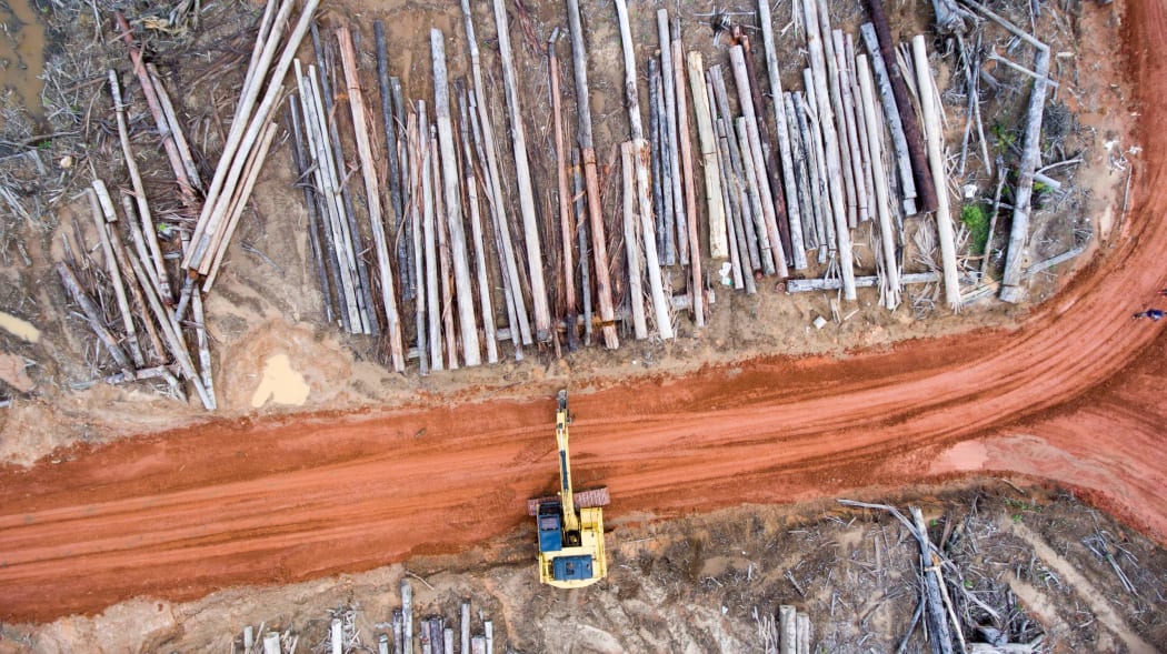 Heavy equipment is used to pile the trunks of felled trees that will be unsustainably burned by Korindo's plantation company PT Papua Agro Lestari.