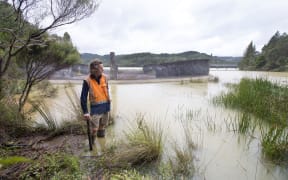 Watercare's James Talbot surveys Cosseys Dam in the Hunua Ranges.