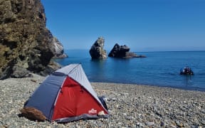 A kiwi style staycation.