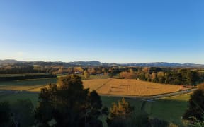 Wairarapa farm at sunrise