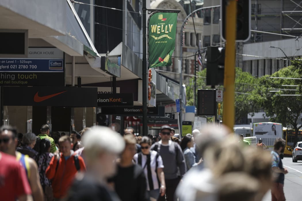 Christmas shopping in Wellington.