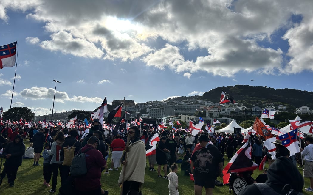 Sea of red and black in Wellington