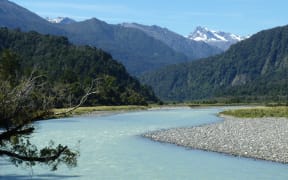 Copland Track in Westland Tai Poutini National Park in the Karangarua area.