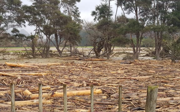Slash debris after flooding in Tolaga Bay.