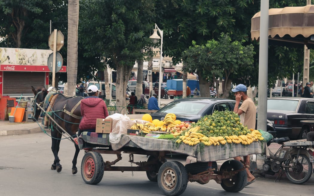 A man drives a horse-cart full of fresh fruit in India.