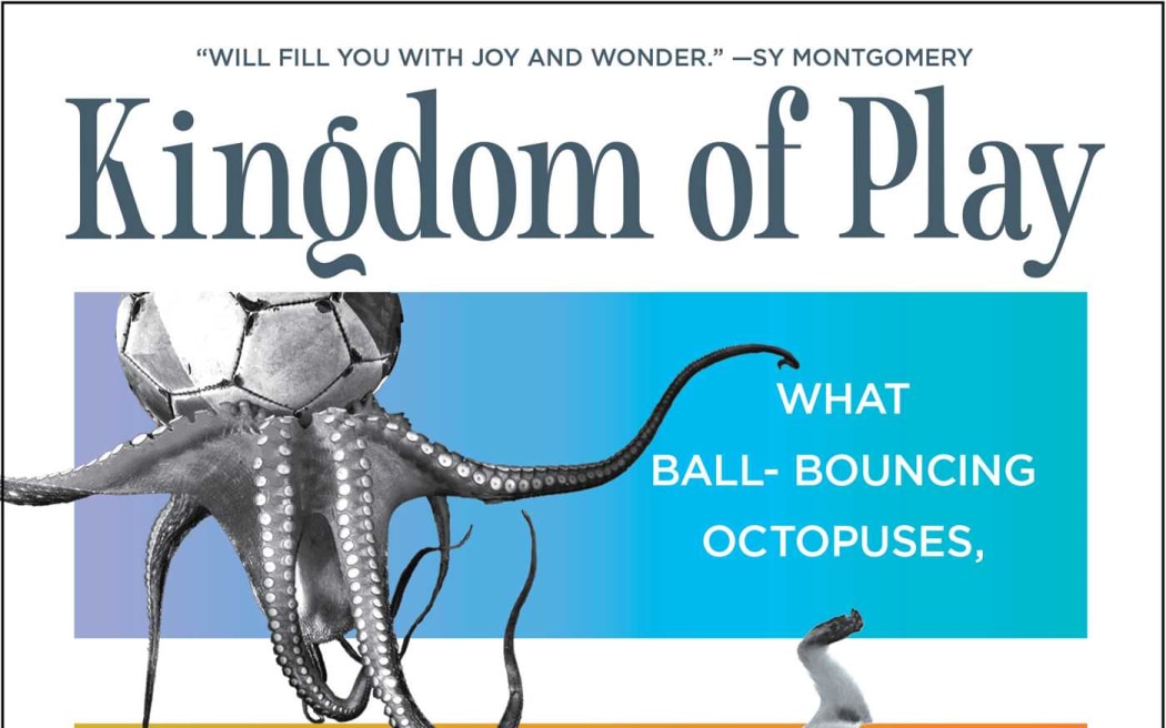 Kingdom of Play book cover