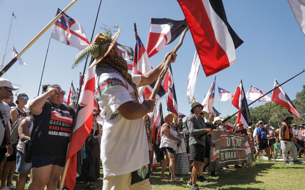 The hikoi on the Treaty Grounds.