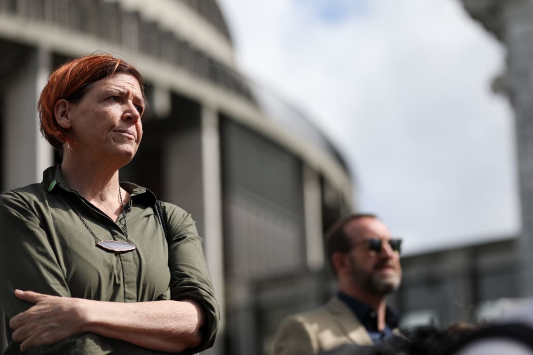 Jan Logie and Andrew Little watch a climate strike protest
